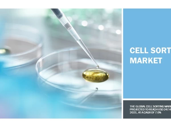 Cell Sorting Market Dynamics, Key Players and Regional Growth Analysis