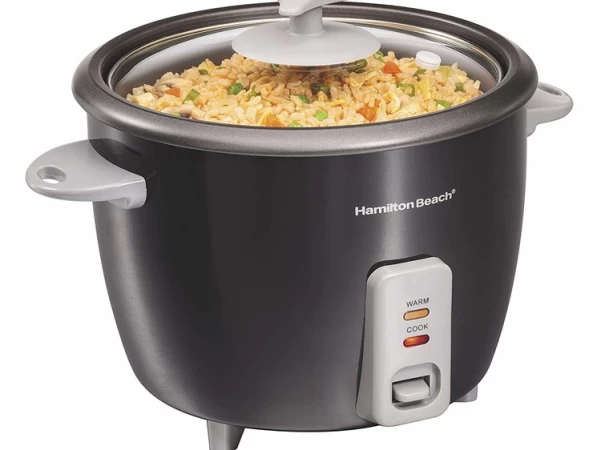 The Best Rice Cooker in 2019