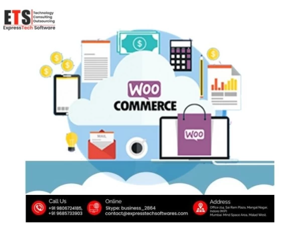 Latest trend’s of Woocommerce stores in 2019