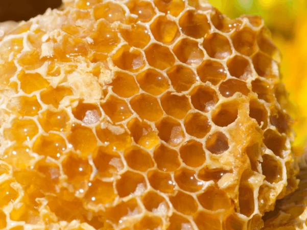 Types of honey, Uses, and their Benefits