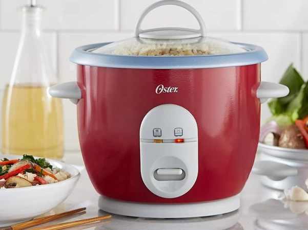 The world's Best Rice Cooker in 2020