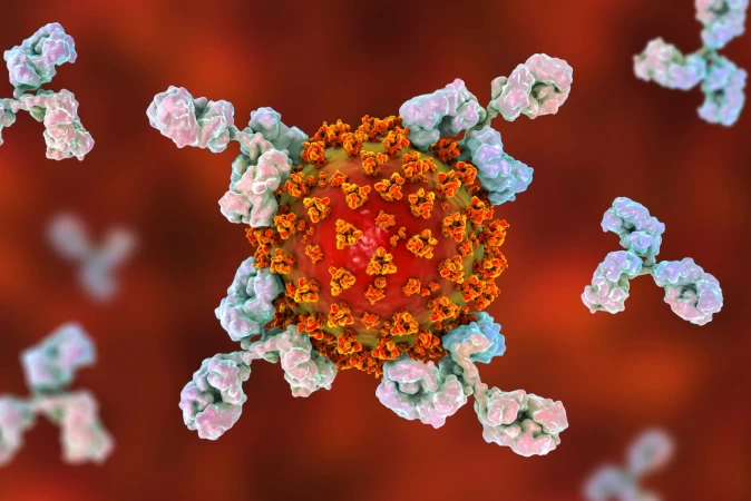 Antibodies and Other Reagents for Glycans Analysis