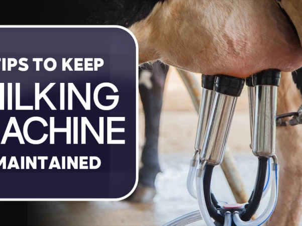 Tips to keep Milking machine maintained