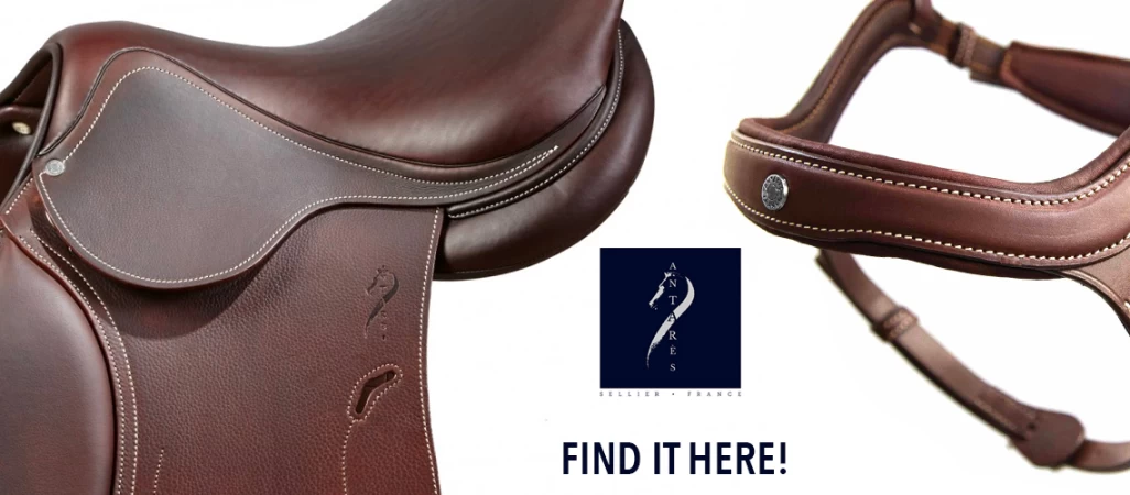 Get High Quality Horse Equipments And Accessories From Vision Saddlery