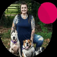 candymountainbulldogs